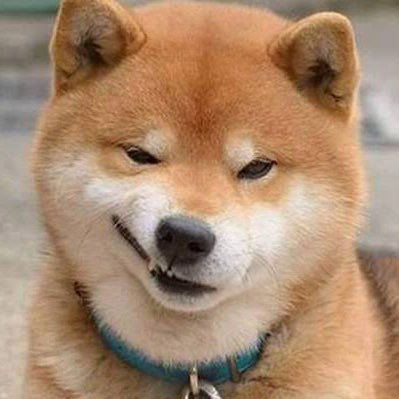May_melody91's tweet photo. #NewProfilePic https://t.co/Xbe7DyRLfu