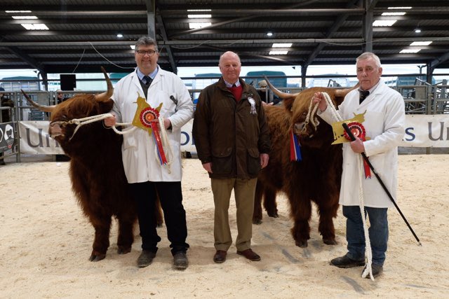 Best pair of females any age - Balnabroich 

Lot 73 - Iseabel 3rd of Balnabroich
Michael &amp; Sally Nairn

Lot 74 - Sidonia 7th of Balnabroich 
Michael &amp; Sally Nairn