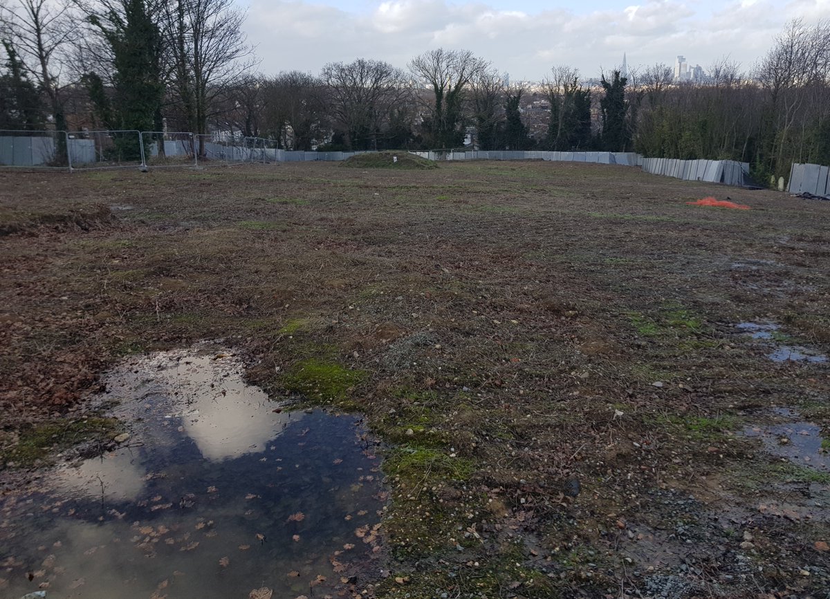 SouthwarkWoods's tweet photo. It's pouring down and @lb_southwark is cutting down 12 acres of trees on a clay hillside, upstream from a flood plain @peckhamryepark. And they are building flood defenses. Photo is of Herne Hill, also in Southwark.  12 ACRES OF TREES. https://t.co/nJH5uwZq3c https://t.co/J9Aa9Gsx08