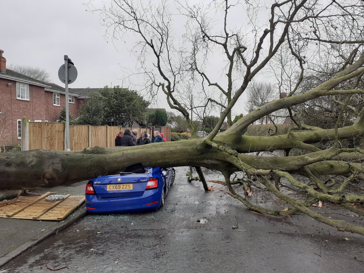 ukelelejones's tweet photo. #StormCiara does her best to thwart Jonesy and Hat#7 on the Sunday stroll 🚶‍♂️🥾🧢🤩... Had it all, wind, wet, sunny, floods, cars, trees and popping to shops for supplies 😎🤩 #GreatToBeOut #CardioClub https://t.co/VO4XFZisiO