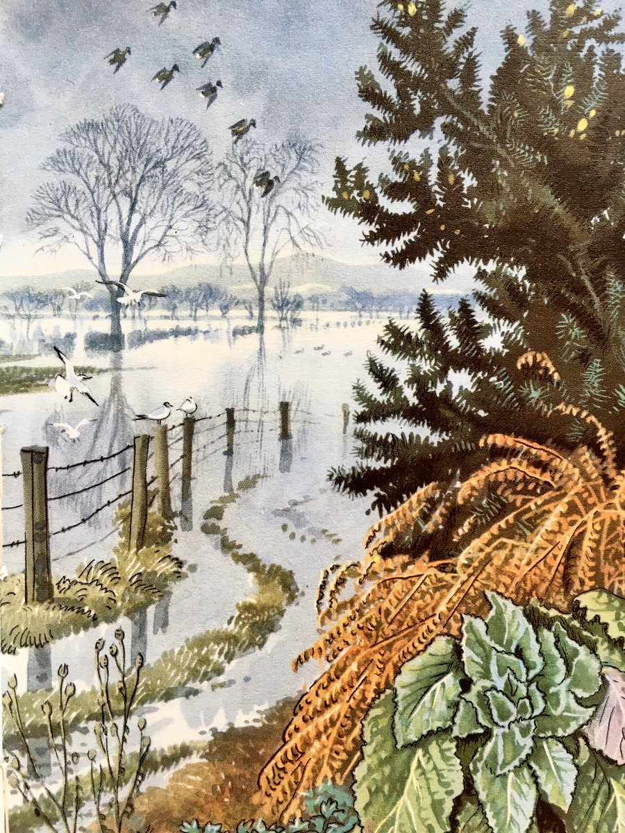 “Heavy rains that often fall in February have flooded the low-lying meadows in the broad valley.” #CFTunnicliffe #ELGrantWatson