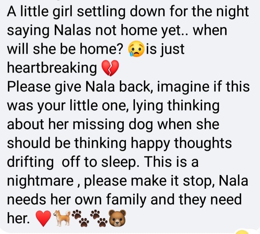 Heartbreaking 💔 .. please give #HelpFindNala back to her rightful owner.. they need her home and she needs them 🐶 #Scotland #missingdog <a href="/crafty_coo/">Lorraine Robertson</a>