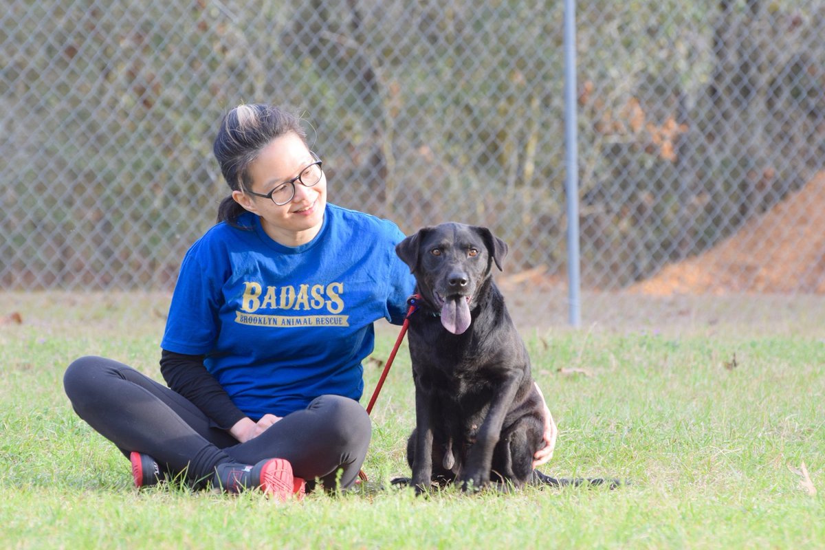 nyshelterpets's tweet photo. 🐾 Pick up #MARMEE before it's too late! #petlovers She's such a cutie! #AdoptMe 💙 https://t.co/eV88ttXv5q https://t.co/arAzMVUYoG