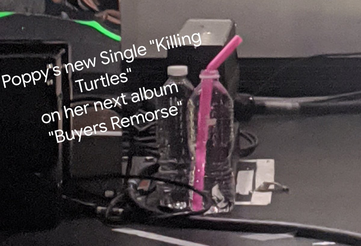 Venseph's tweet photo. @Richard05257441 @poppyismychurch @poppy Smol seed killing turtles.  I know I can't change the minds of fans but I can possibly prevent someone else from having the same experience and keeping them a fan. https://t.co/IvHV2iY75w