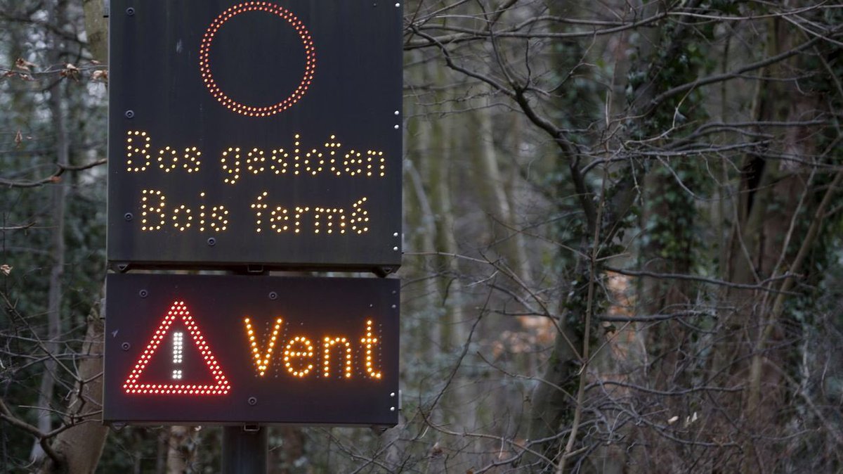 🚧🌳Herinnering : Vanwege de weersomstandigheden werd het #TerKamerenbos afgesloten voor alle verkeer tot maandagavond
🚧🌳Rappel : Suite aux conditions météorologiques, le #BoisdeLaCambre a été fermé à la circulation jusqu’à lundi soir