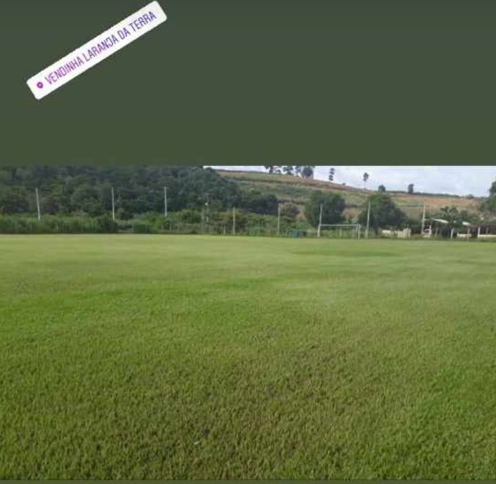 Tiodoro17's tweet photo. Voltando as atividades,Fechado com o Sub 23 ⚽🔥💙 https://t.co/PK1EUAvPtK