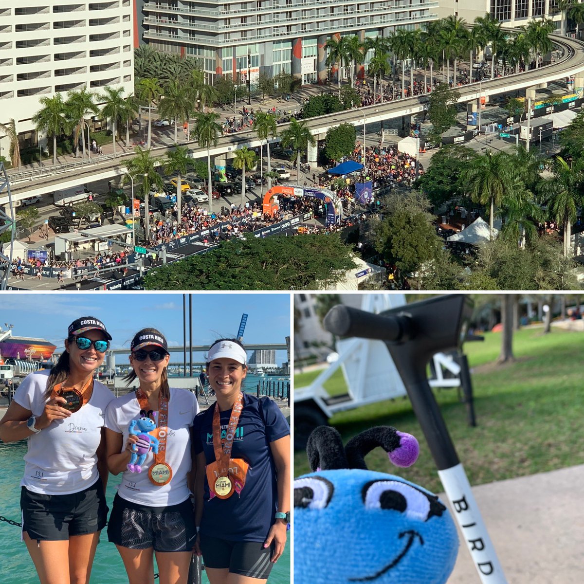 offkiltamatilda's tweet photo. We woke up today to the sounds of 1000’s of people cheering so @Shipleycom took me on an adventure to see what was happening. It was @themiamimarathon These runners have #grit, #persistence AND #resilience. What an inspiring way to start the day. 
#miami #miamimarathon2020 https://t.co/pkG5SifjSj