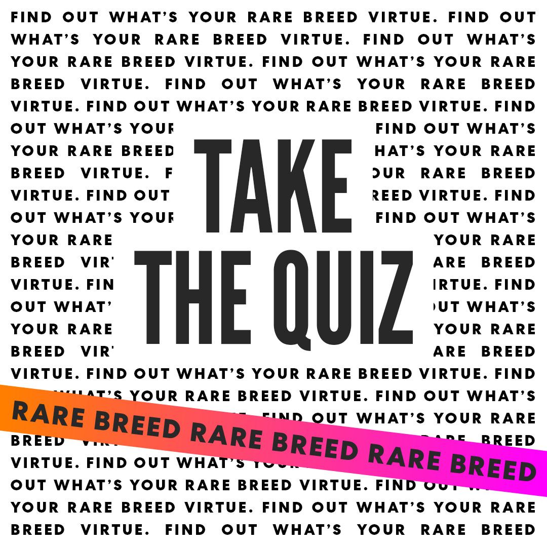 15,000 people have been curious about what #RareBreed trait they possess 🔮Have you taken the quiz yet???

LINK IN BIO, we'd love to hear what you got 💎
#rarebreed #rarebreedbook #rarebreedtv #quiz #virtues #weird #hypnotic #emotional #hotblooded #rebellious #audacious #obsessed