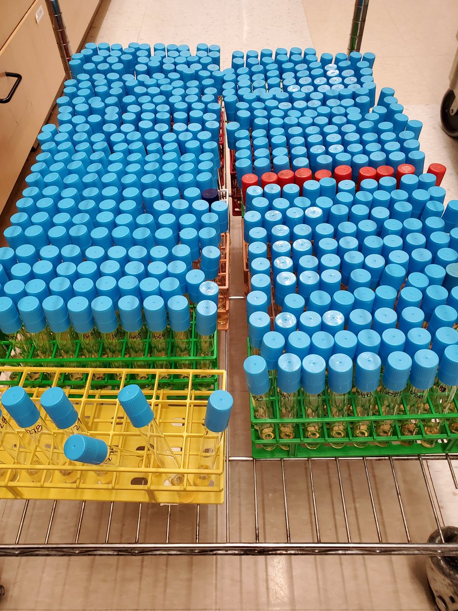 Shen Lab tweet media