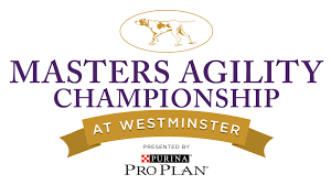 TerrySimons111's tweet photo. Watch all the excitement of the Masters Agility Championship at Westminster tonight @FS1 8pm EST check your local listings. Fur will be flying as the dogs compete to be named Champion #WKCDogShow #FoxSports #dogs #agility #lookatthoseweavepoles https://t.co/damiG4gVL9