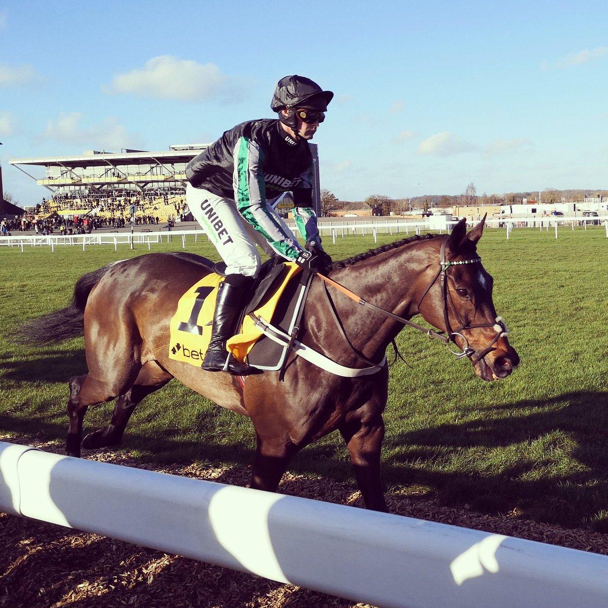 Altior (@kingaltior) on Twitter photo 