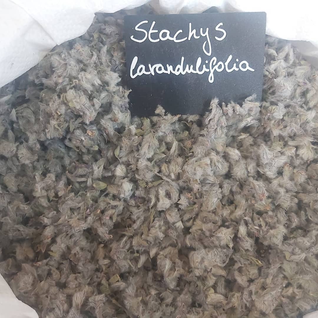 MakeMeNutsKft's tweet photo. Mountain tea, DELICIOUS!!! #mountaintea #herbaltea #stachyslavandulifolia @MakeMeNutsKft https://t.co/6LuSDWkTod