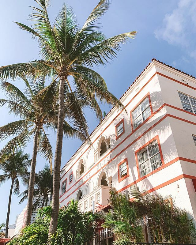 soazic28's tweet photo. Le bleu du ciel, le vert des palmiers, le rose, jaune, orange, violet,... des bâtiments 🤩 Tellement de couleurs à Miami! 🌴

#miamibeach #palmtreeseverywhere #colorfullife #livebythesea #exploremiami #visitflorida #miamiarchitecture https://t.co/TXiIBwfdUw https://t.co/3vrL319Qdl