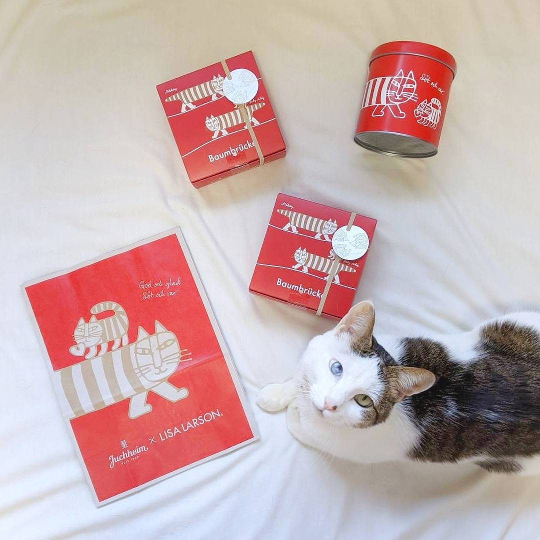 バウムブリュッケ Twitter Search Twitter