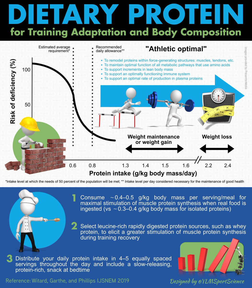 YLMSportScience (@ylmsportscience) on Twitter photo #New 🍴🍗🍳🍛How should the dietary protein intake be adjusted to optimize training adaptations & body composition? Some answers here by <a href="/OllyWitard/">Oliver Witard</a> <a href="/mackinprof/">Stuart Phillips (he/him)</a> <a href="/inagarthe/">Ina Garthe</a>
📖 journals.humankinetics.com/view/journals/…
🇺🇸🇪🇸🇫🇷🇧🇷 More infographics in 4 languages at ylmsportscience.com/2018/07/23/ylm… #New 🍴🍗🍳🍛How should the dietary protein intake be adjusted to optimize training adaptations & body composition? Some answers here by <a href="/OllyWitard/">Oliver Witard</a> <a href="/mackinprof/">Stuart Phillips (he/him)</a> <a href="/inagarthe/">Ina Garthe</a>
📖 journals.humankinetics.com/view/journals/…
🇺🇸🇪🇸🇫🇷🇧🇷 More infographics in 4 languages at ylmsportscience.com/2018/07/23/ylm…
