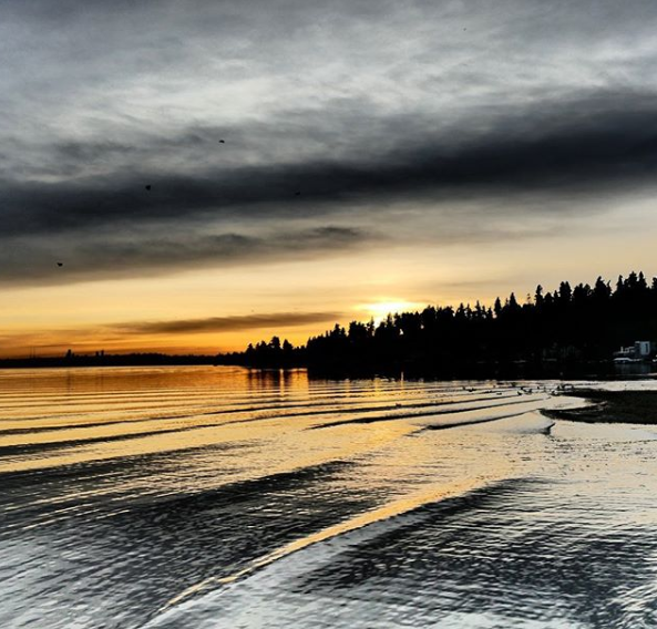 toyotakirkland's tweet photo. There's no place quite like home 🎴
.
.
.
@blueish_green_
#kirklandwa #kirkland #kirklandparks #kirklandlove #pnw #sunset #sunrise #washington #westernwashington #seattlearea #toyotakirkland https://t.co/PO3JWvsahu