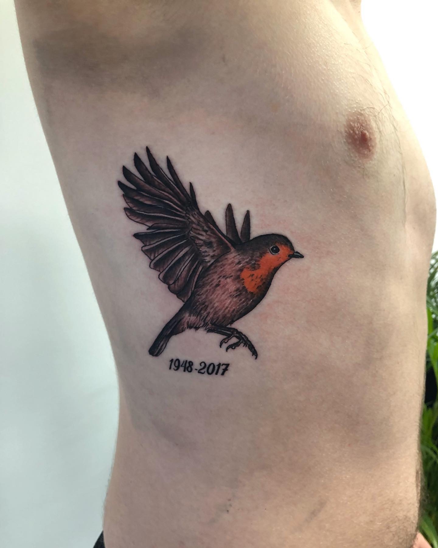 Robin tattoo by Thomas Acid | Post 29325