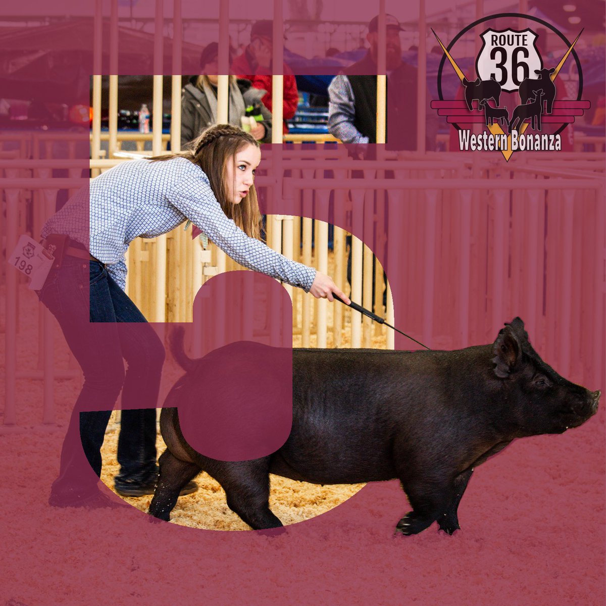 We are setting up for #WB2020 and are just 5 days away! The countdown has officially began!
#Bonanza36 #finalcountdown #5days