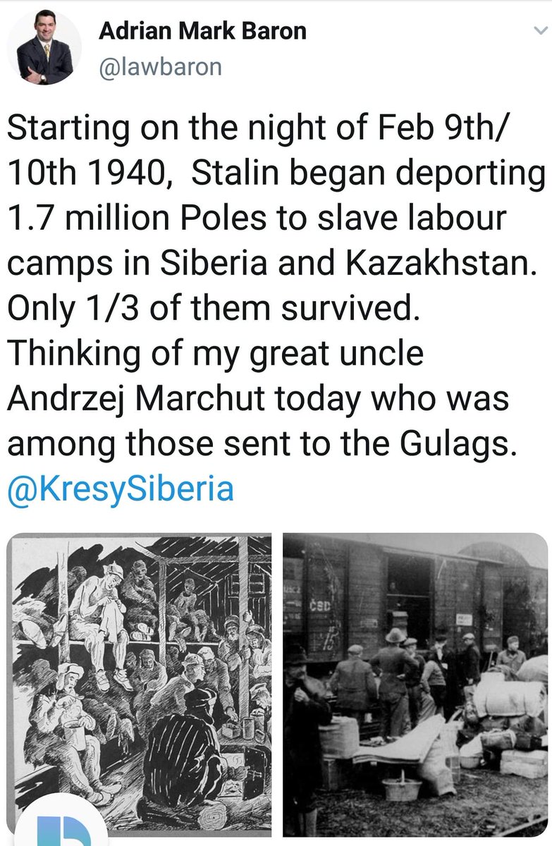 Little Poland (@littlepolandnb) on Twitter photo 