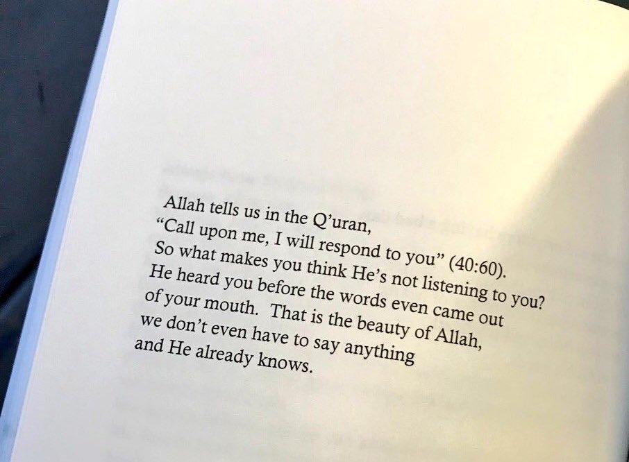 Muneeb 🇵🇰🇫🇷 tweet media