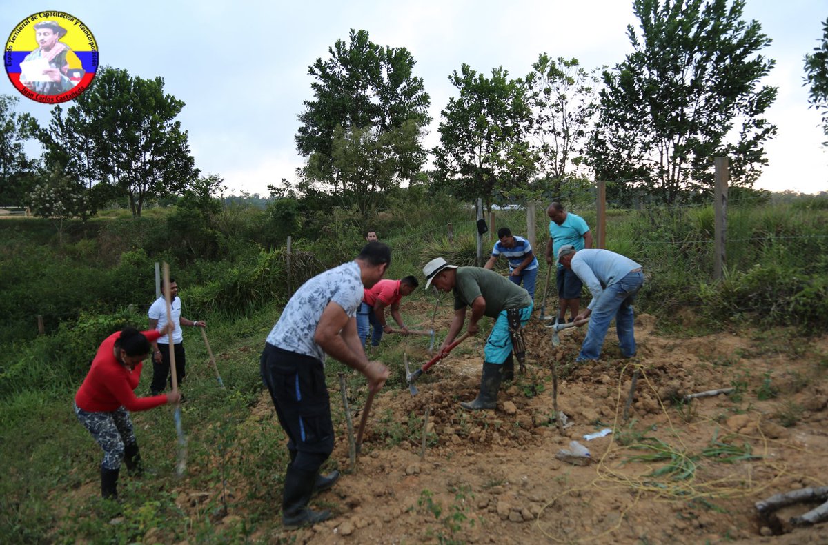 BMM_FARCEP's tweet photo. ETCR Juan C. Castañeda se realiza preparación del terreno para huerta comunitaria, una apuesta mas en la economía del territorio.#FelizDomingo https://t.co/X6pEIllHaD