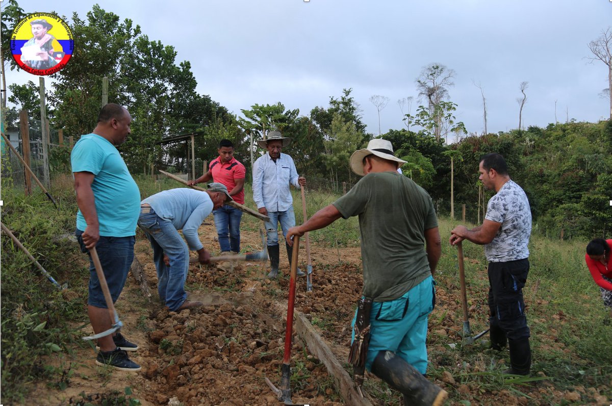 BMM_FARCEP's tweet photo. ETCR Juan C. Castañeda se realiza preparación del terreno para huerta comunitaria, una apuesta mas en la economía del territorio.#FelizDomingo https://t.co/X6pEIllHaD