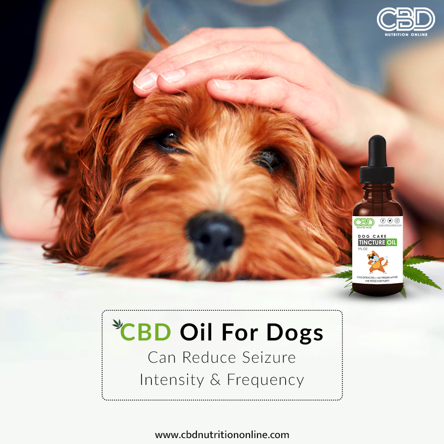 Bless your pets with CBD...
#cbd #cbdnutritiononline #cbdoil #cbdgummies #cbdcoffee #cbdproducts #cbdfordogs #cbdlotion
#cbddosage #cbdforarthritis #organic #cbdcures #cbdheals #mentalhealth #healthbenefits #cbdhealth
#cbdmovement #cbdtea #cbdhoney #cbdlife #cbdedibles #cbdhelp