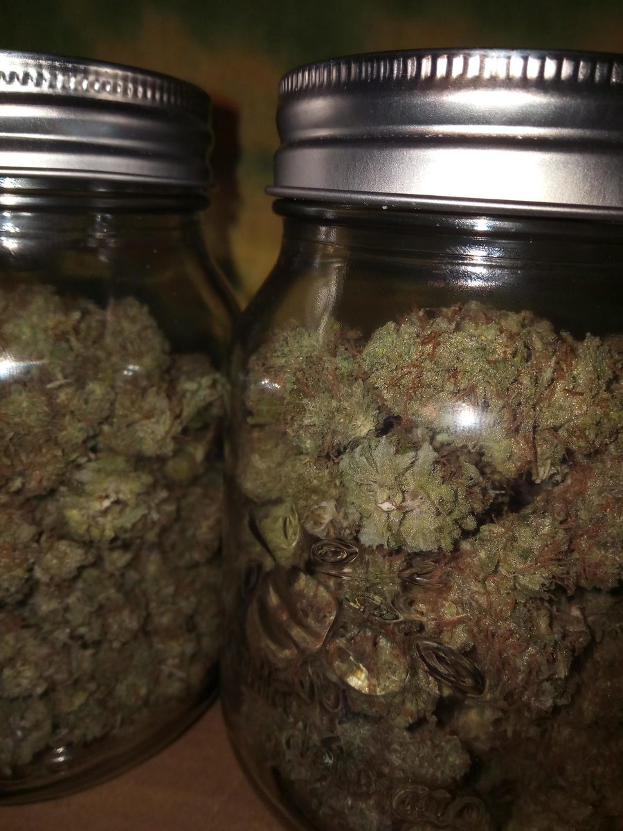 weeddshop100's tweet photo. De la bonne qualité commandez sur /

Snap/jeanmarieowon19

Wickr/weedshop100

#Marseille #paris2020 #Lyon #toulouse #Nice #nantes #Strasbourg #Montpellier #Bordeaux #Lille #Rennes #Reims #lehavre #saintetienne #Toulon #grenoble #Angers #Dijon #brest #Nimes #LeMans #aixenprovence https://t.co/oZE9w6eNYJ