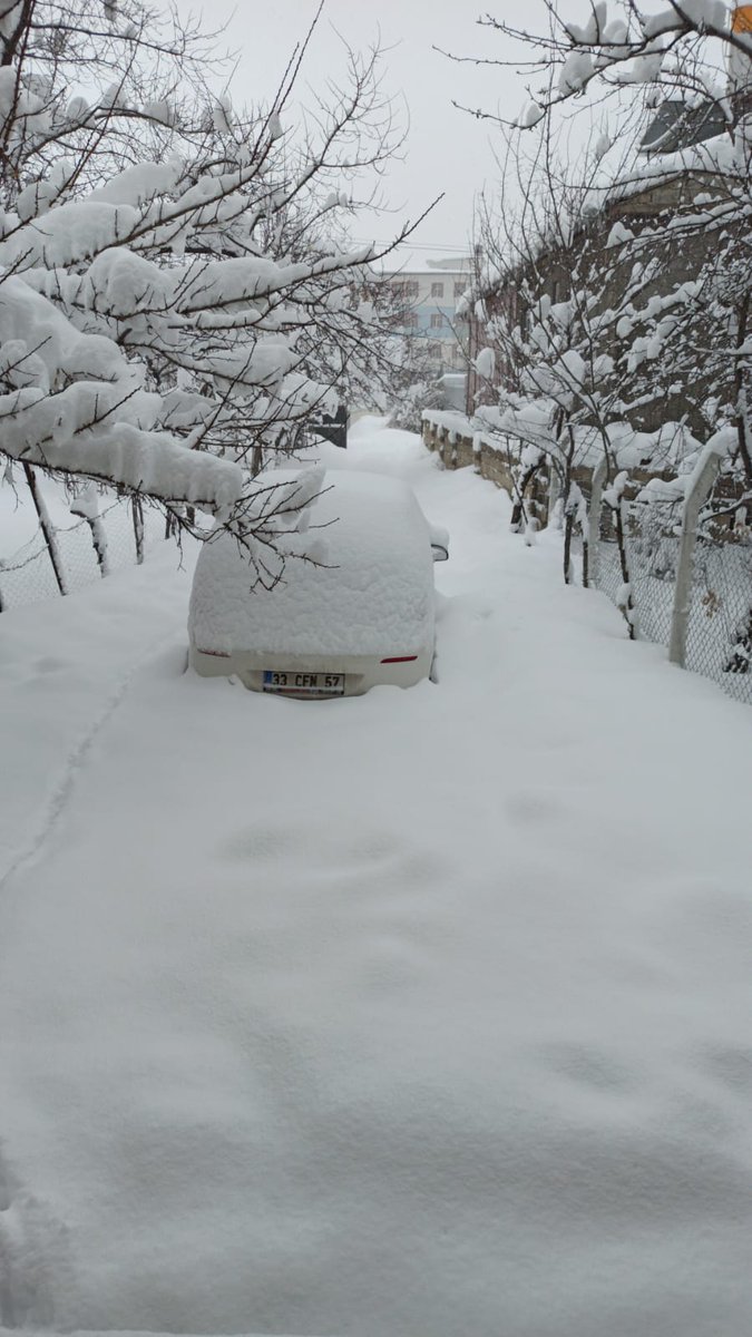 bu nasil hava van sibirya olduk amk