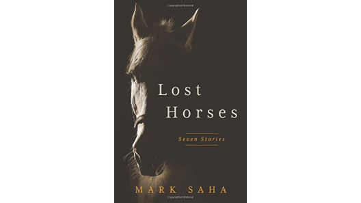 book_tribe's tweet photo. • Seven compelling American tales revisit the heartland. “Saha encourages the reader to think.” – Jack Neworth, Santa Monica Daily Press #teenbooks #YAbooknerd https://t.co/KGkF9zLba0 https://t.co/AJKMzsmaEV