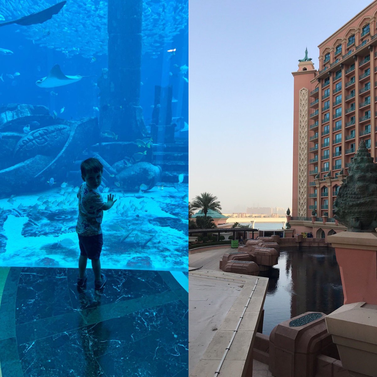 trprice76's tweet photo. The bottom and top of the aquarium at the Atlantis Dubai 🐠 https://t.co/nclUql2GC1