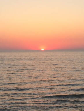 David Staal tweet media