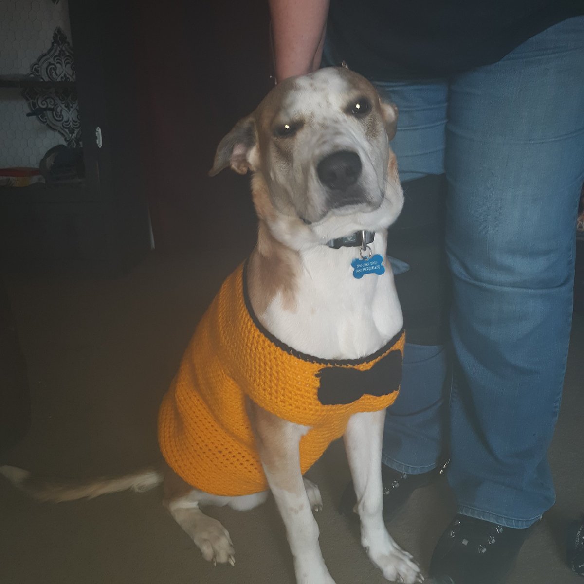 ㋡H୧M☧.F⨻RဣER㋡ tweet media