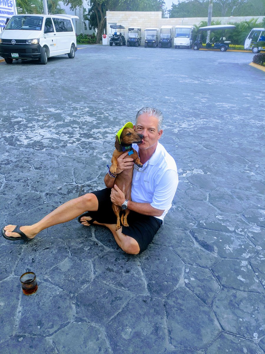 cdulansky's tweet image. I love Dachshunds, especially this little wiener I met in Playa #dachshund