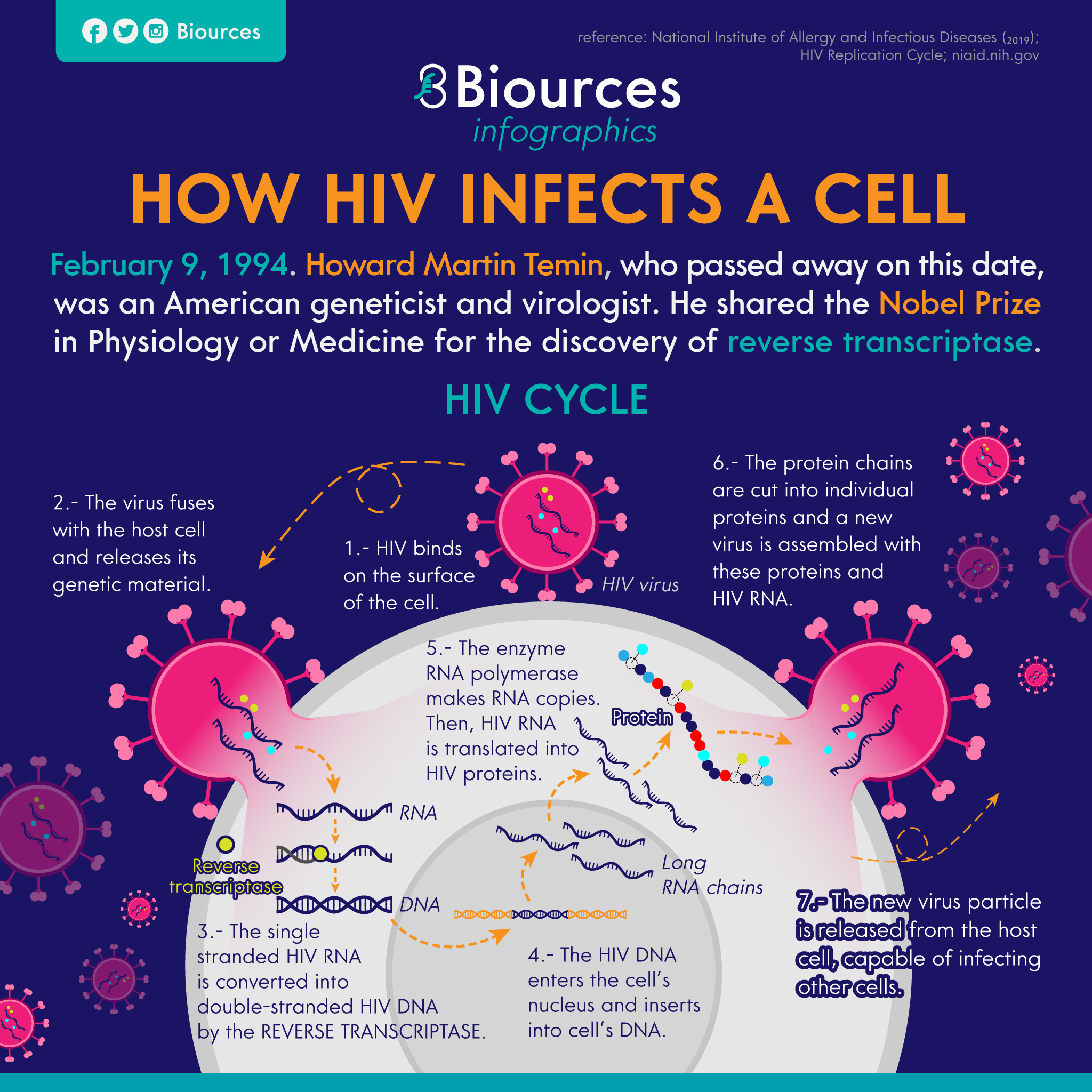 Biources on Twitter: "This day in science, on 9 February 1994: Howard Martin Temin, American virologist, passed away. @NobelPrize #science #virus #HIV #temin #medicine #nobelprize #transcriptase #DNA #RNA #biology #cell #genetics #virology #