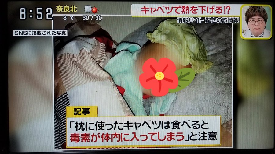 キャベツ枕は効果なしのウソ ネタ元子育てサイトは記事削除 謝罪するもサーバーダウン 気になるいろいろ