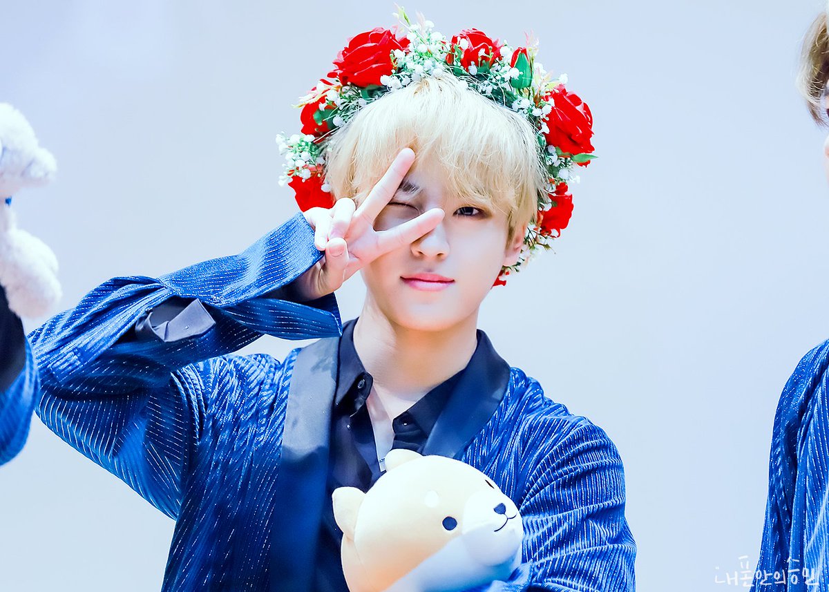 Day 41: flower Boy Seungmin is such a sweet boy  #Golden_Child  #Without_You  #골든차일드  #위드아웃유  #배승민  #Seungmin @Hi_Goldenness @Official_GNCD