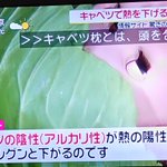キャベツで熱が下がる!? ネット上に飛び交う根拠のないトンデモ情報にご用心!