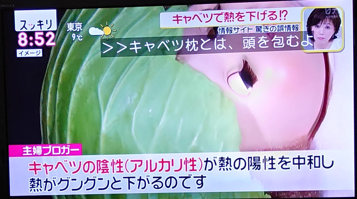 キャベツで熱が下がる！！？ ネット上に飛び交う根拠のないトンデモ情報にご用心！