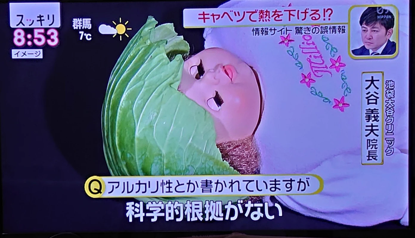 キャベツで熱が下がる！！？ ネット上に飛び交う根拠のないトンデモ情報にご用心！