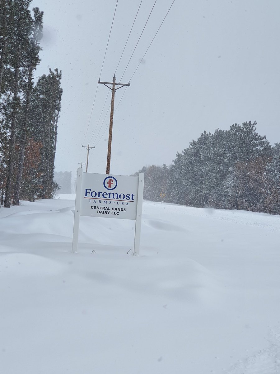 tdibble90's tweet image. Day 1 Alta Wisconsin Tour 2020
Massive thank you to the legend  @GordieJones for his time today, forever the inspiration to every dairyman worldwide. Central Sands did not disappoint! @AltaGeneticsUK