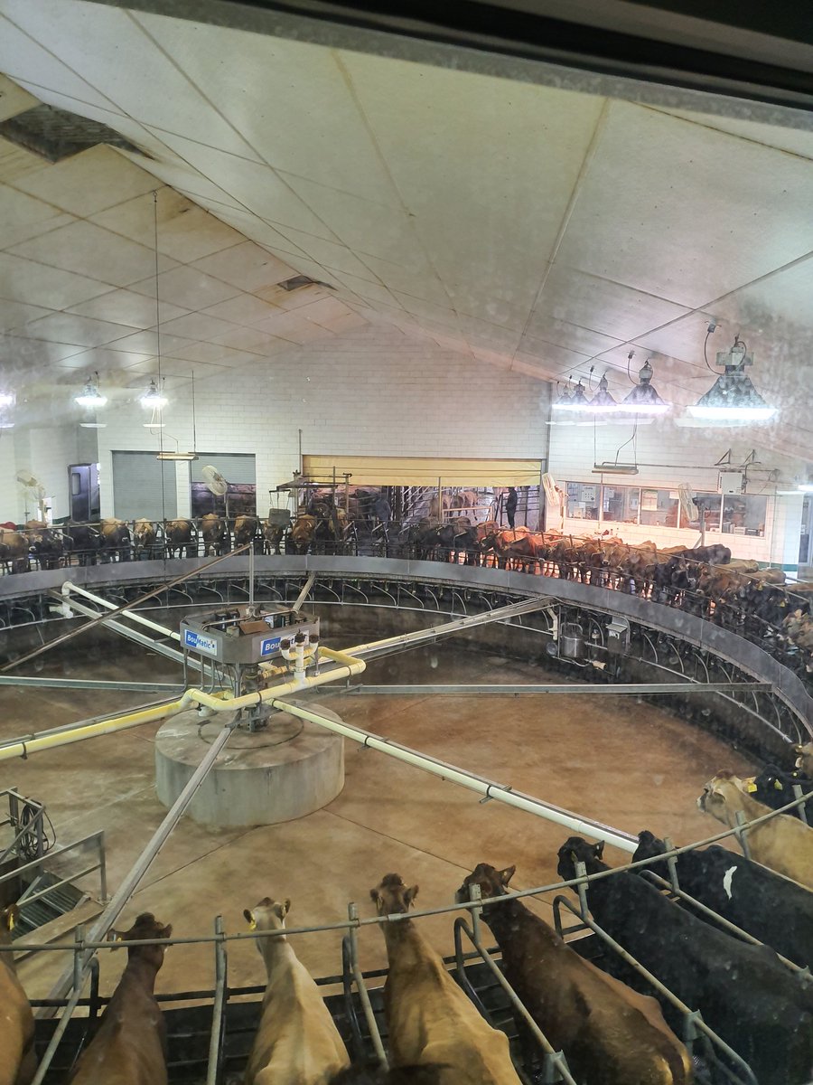 tdibble90's tweet image. Day 1 Alta Wisconsin Tour 2020
Massive thank you to the legend  @GordieJones for his time today, forever the inspiration to every dairyman worldwide. Central Sands did not disappoint! @AltaGeneticsUK