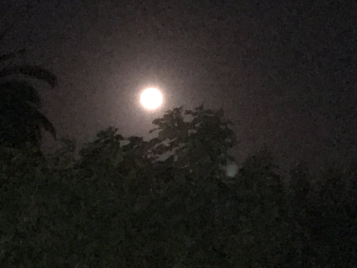 Desde mi ventana... luna de nieve... siempre la luna...