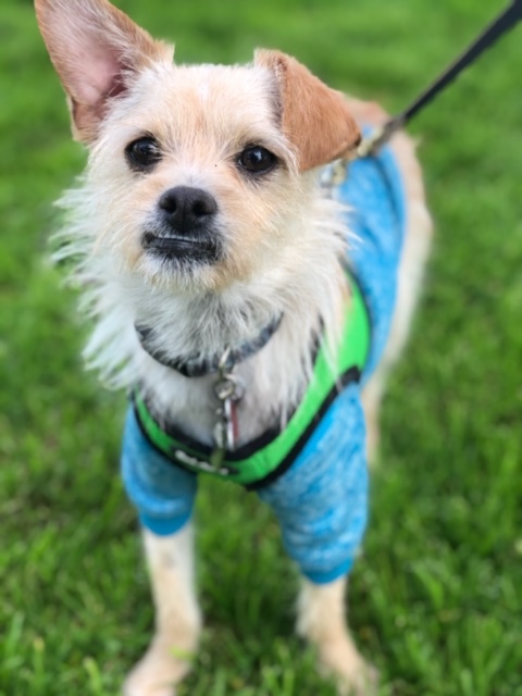 KenMarRescue's tweet photo. The perfect Valentine's Day token https://t.co/bEz03Q1cuw https://t.co/WVn3DN8vvy