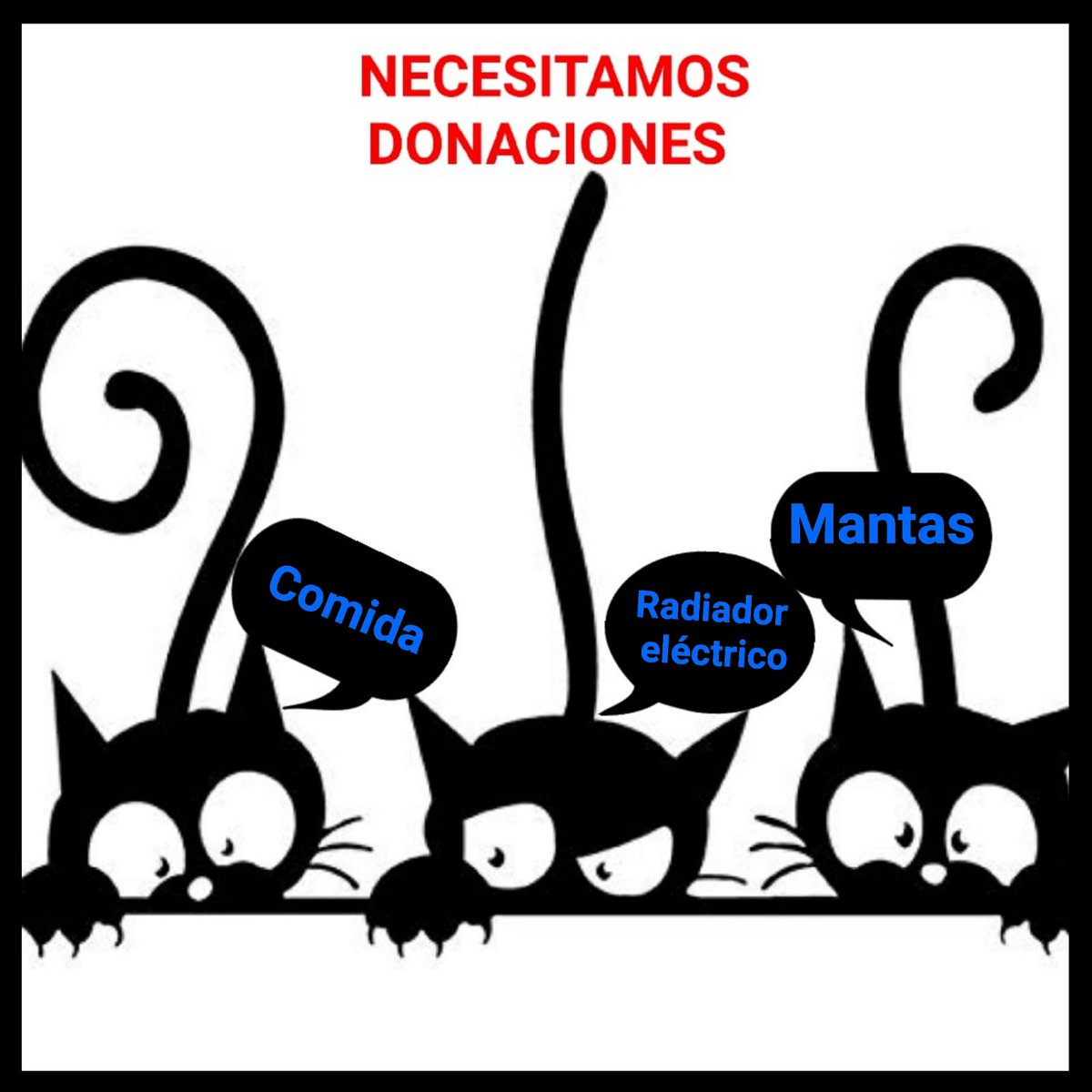 Velilla Gatuna (@velillagatuna) on Twitter photo 