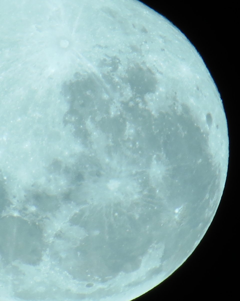Quenoreyes's tweet photo. @ChemaTierraNews Un abrazo desde Chile https://t.co/KGupUNDtup