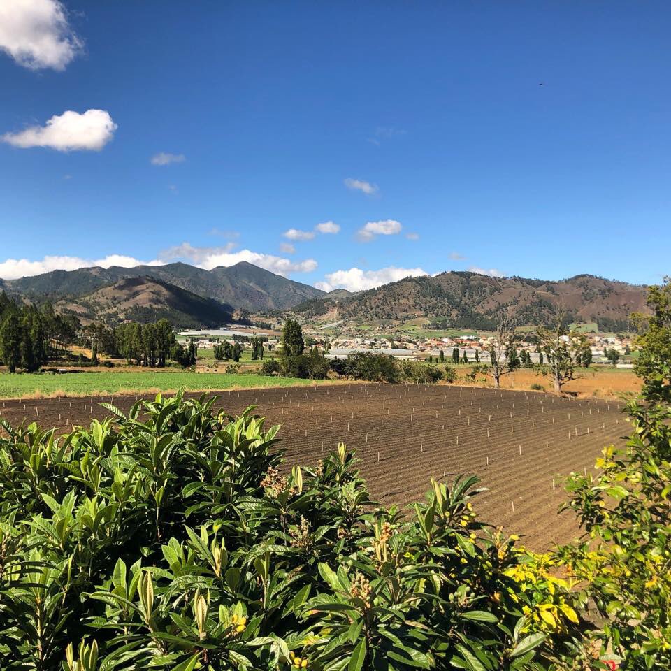 jepuello's tweet photo. Feliz domingo desde #Constanza #valleencantadodelcaribe ¡Nos gustaría tenerte aquí! #constanzadigital https://t.co/3BcJ2v6i3j