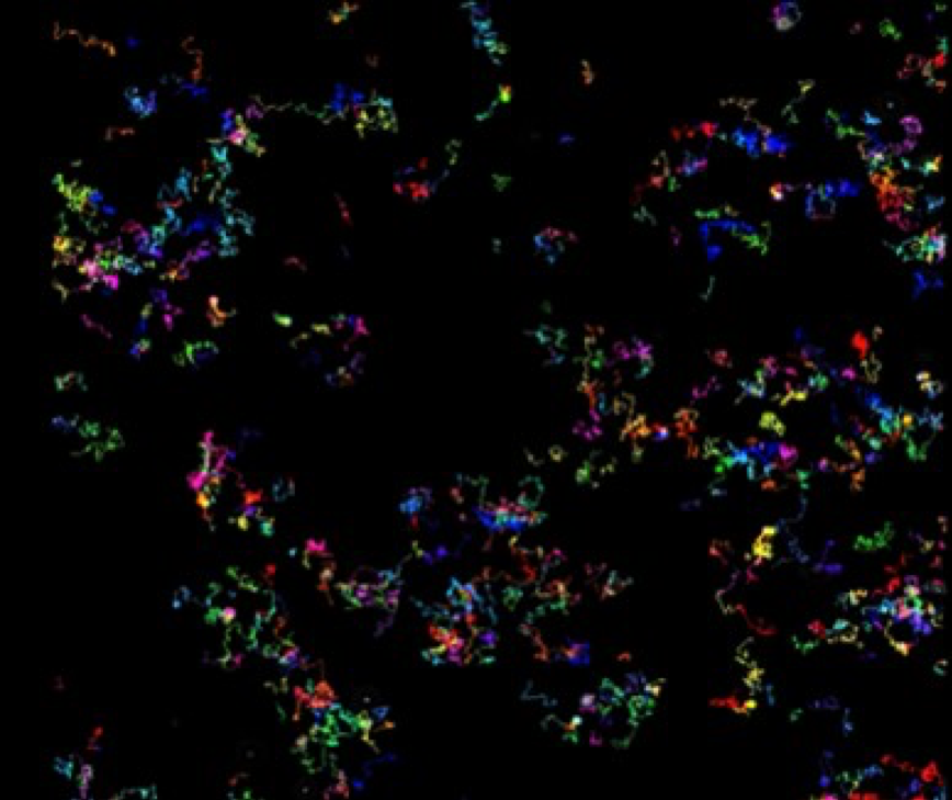 WiDSAlbacete's tweet photo. #CienciaDeDatos para el desarrollo de medicamentos: entendiendo la difusión de nanotransportadores en medios biológicos complejos, con @VickyLzLp #AulaOESIA-UCLM https://t.co/QA9uz6gRlk
