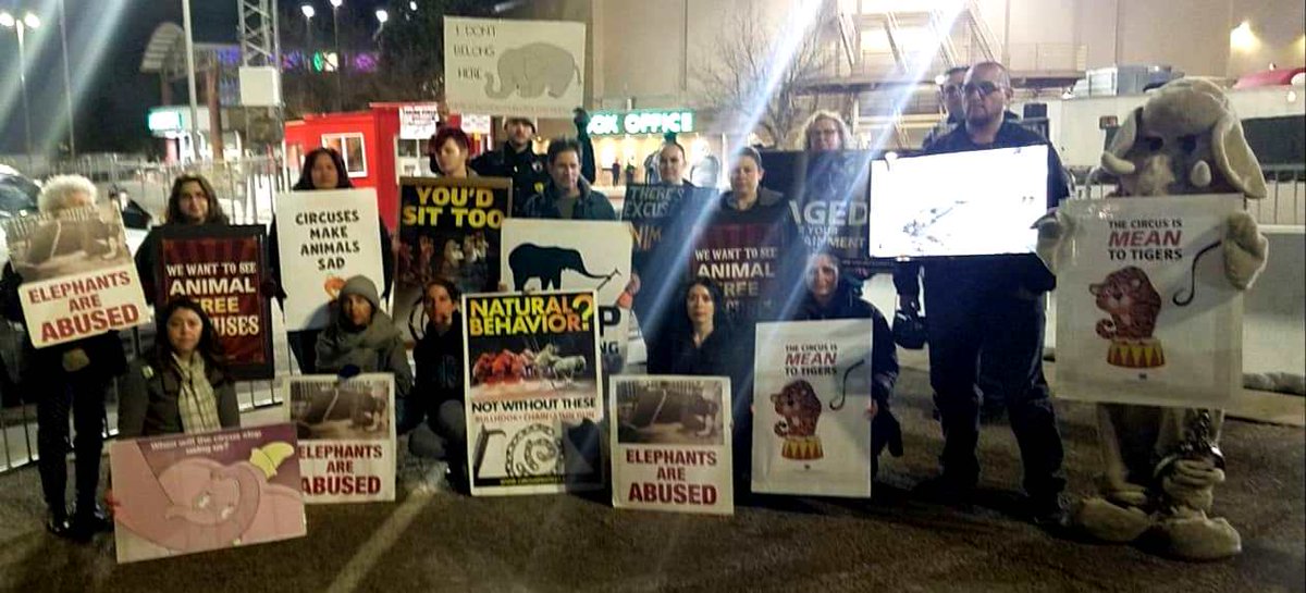 CircusProtest's tweet image. Protest #circus cruelty in #Albuquerque, NM TODAY: 2:30 and 6:30 pm @ Tingley Coliseum. #animalactivists #animals #protest facebook.com/events/1752447…