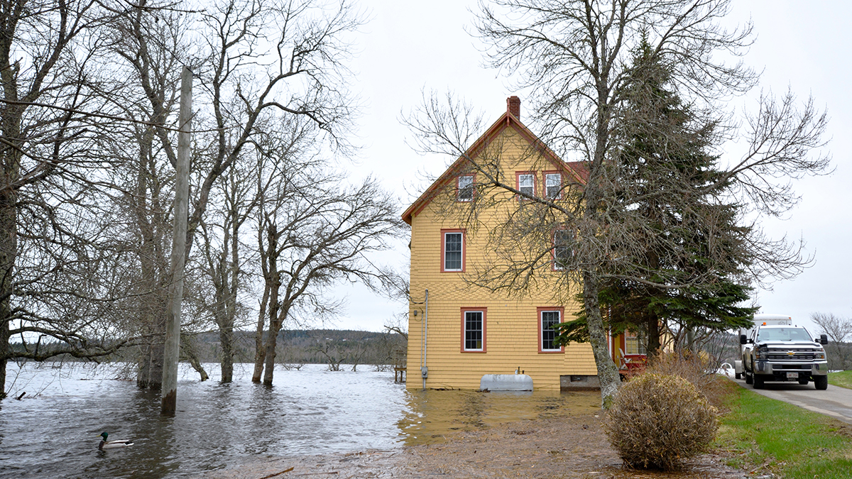 KnowlesBuilding's tweet photo. If a rainstorm hits and your sump pump fails, your basement can take in hundreds of gallons of water. Here are four things you need to know to prevent this from happening. https://t.co/NYjL0b3eY1 https://t.co/HTS0AcuwJW